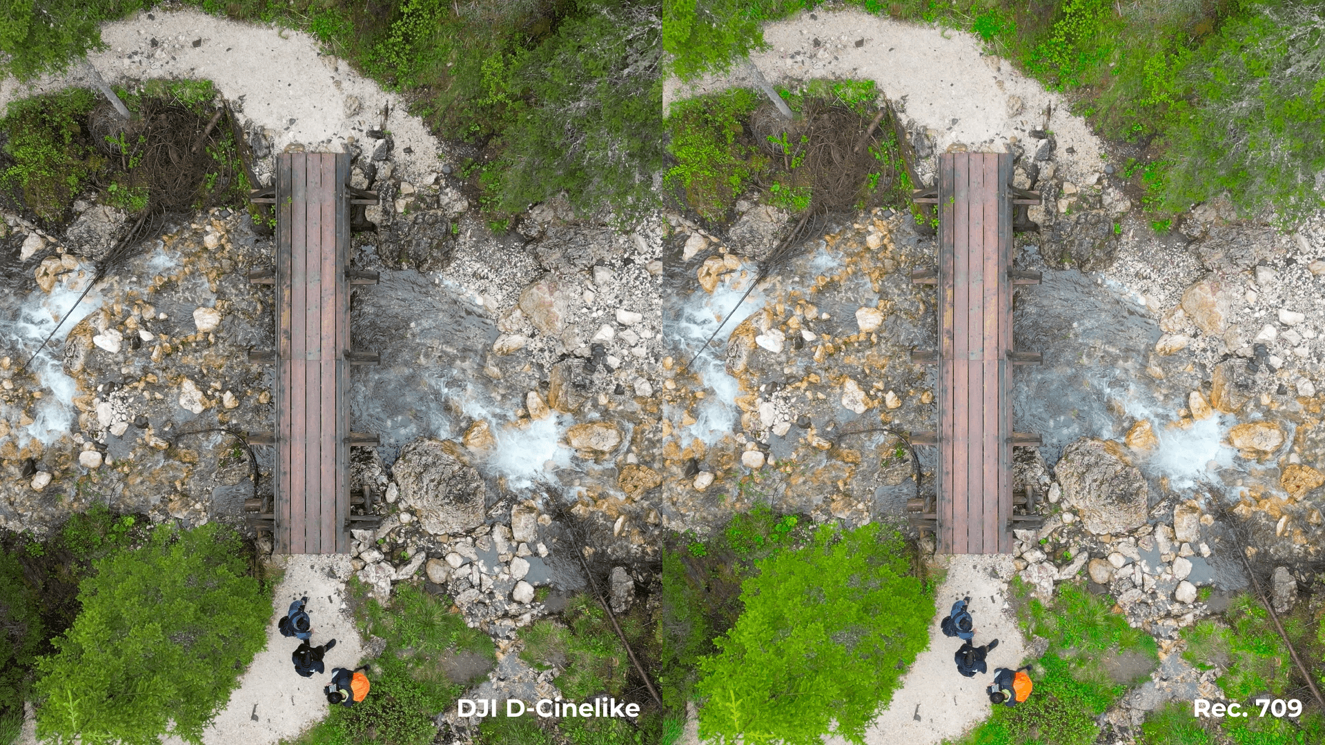 Log to Rec. 709 comparison